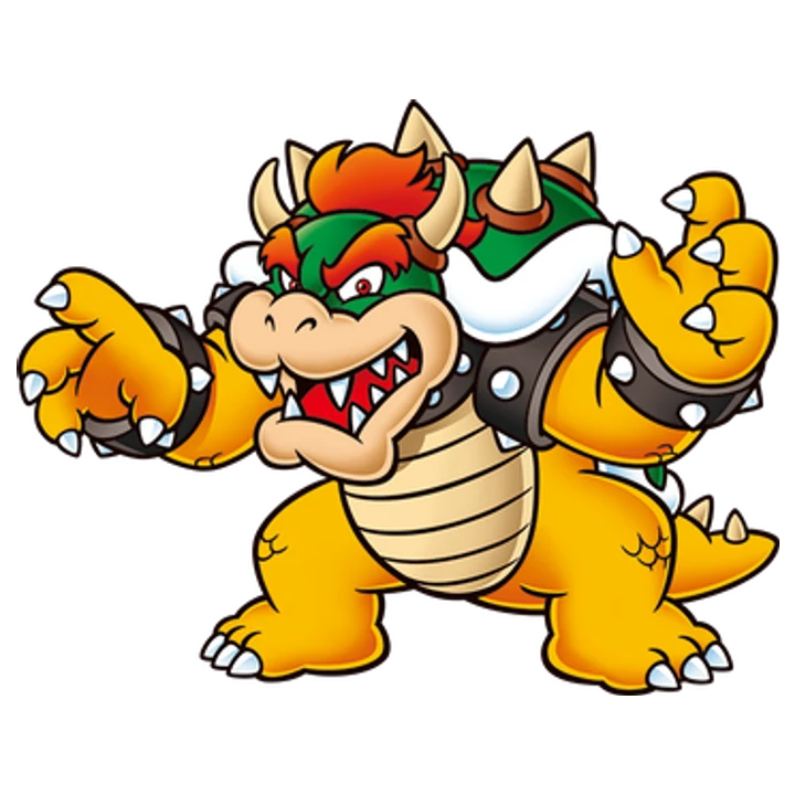 Bowser Skin