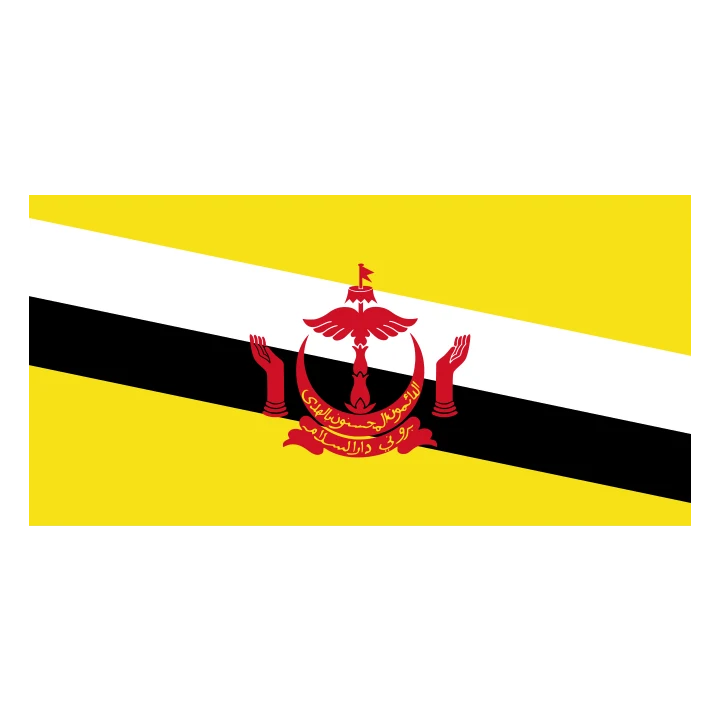 Brunei Flag Yellow