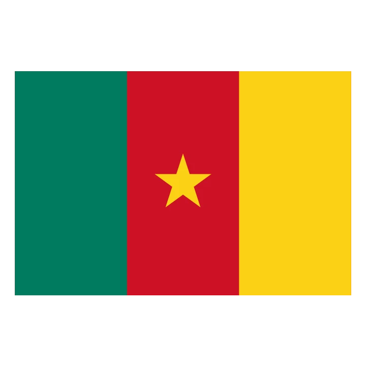 Cameroon Flag Yellow