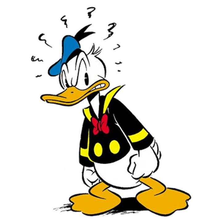 Donald Duck Hat