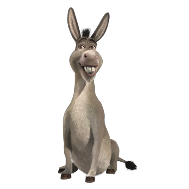 Donkey Fur