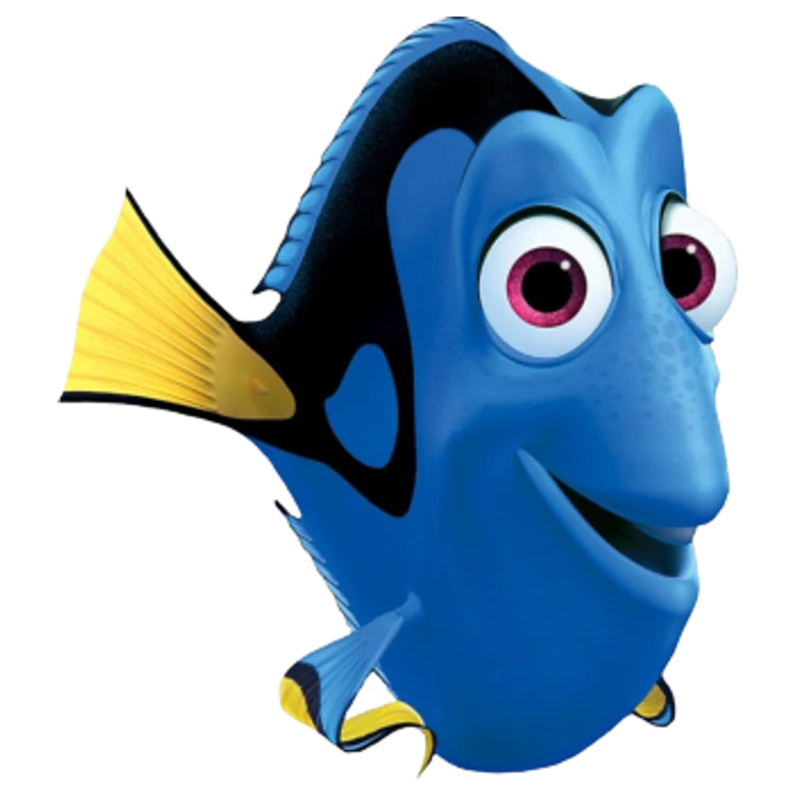 Dory Body