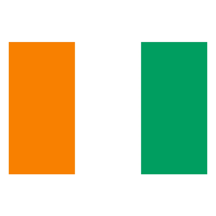 Ivory Coast Flag Orange