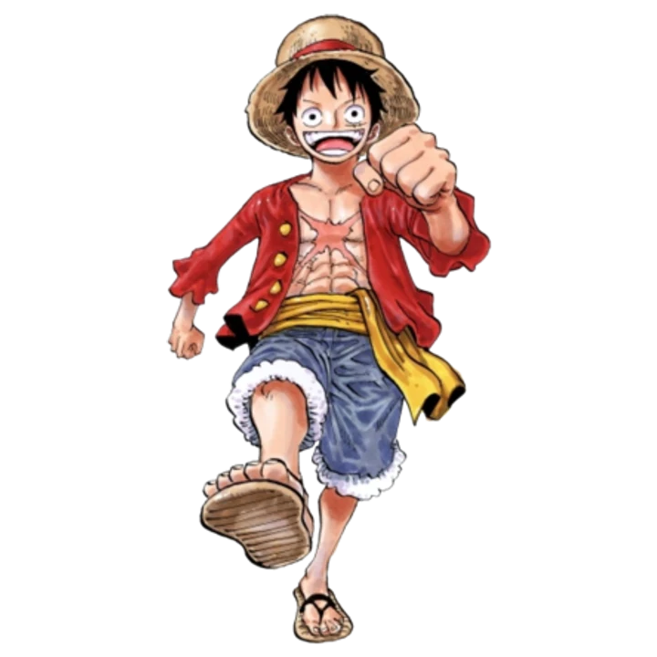 Monkey D. Luffy Vest