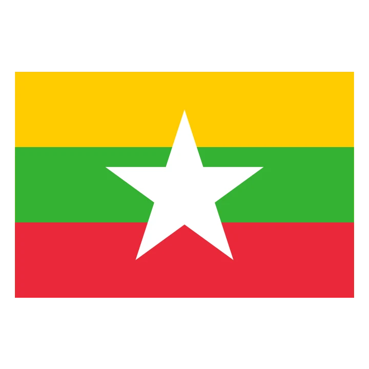 Myanmar Flag Yellow