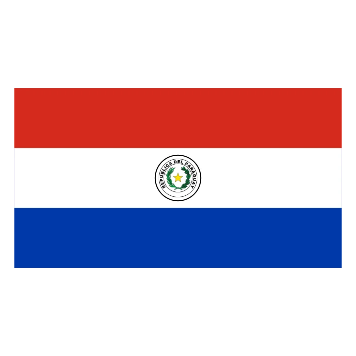 Paraguay Flag Red