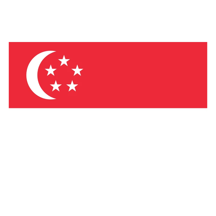 Singapore Flag Red