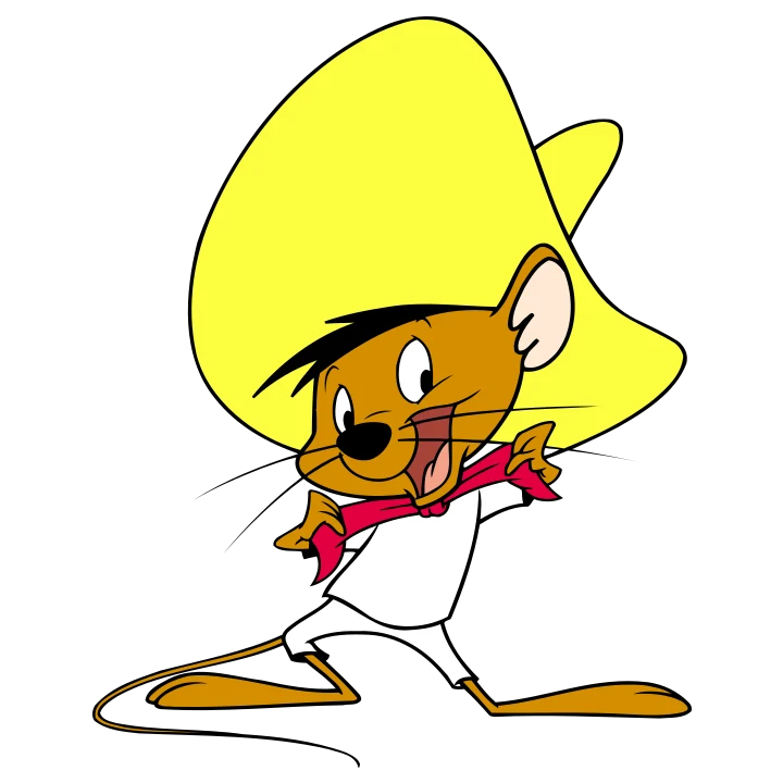 Speedy Gonzales Hat