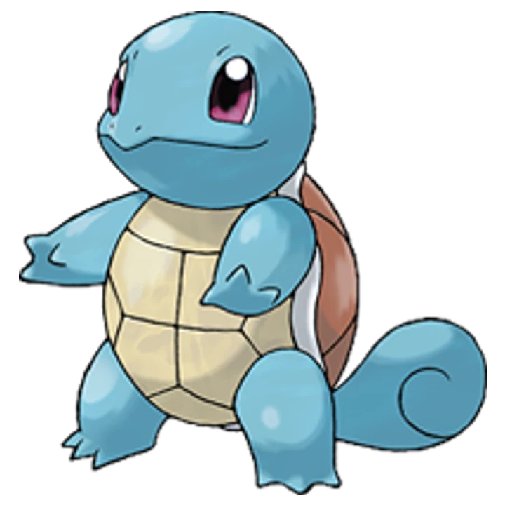 Squirtle Skin