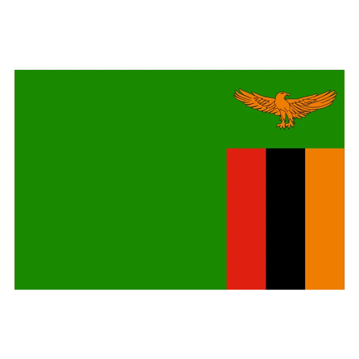 Zambia Flag Green